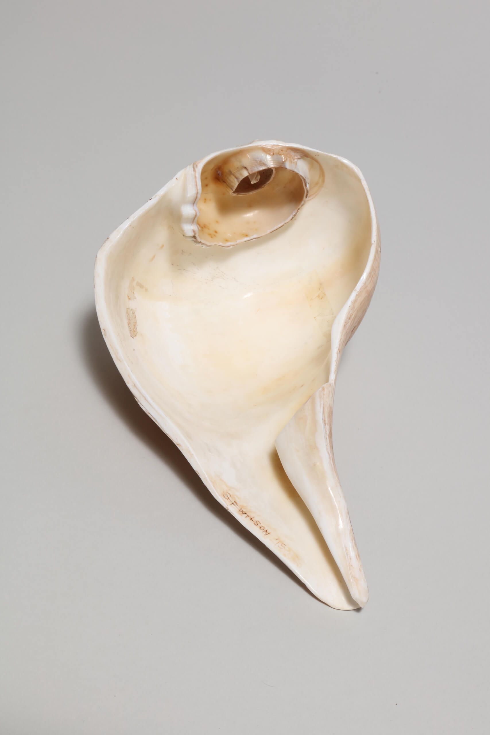 Sandy Fife Wilson, Sacred Fire, 2015 (A 2nd View)